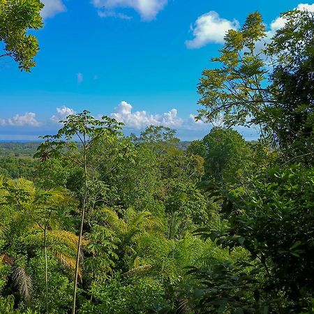 Corcovado Private Villas - Corcovado Private Reserve Puerto Jiménez Eksteriør billede