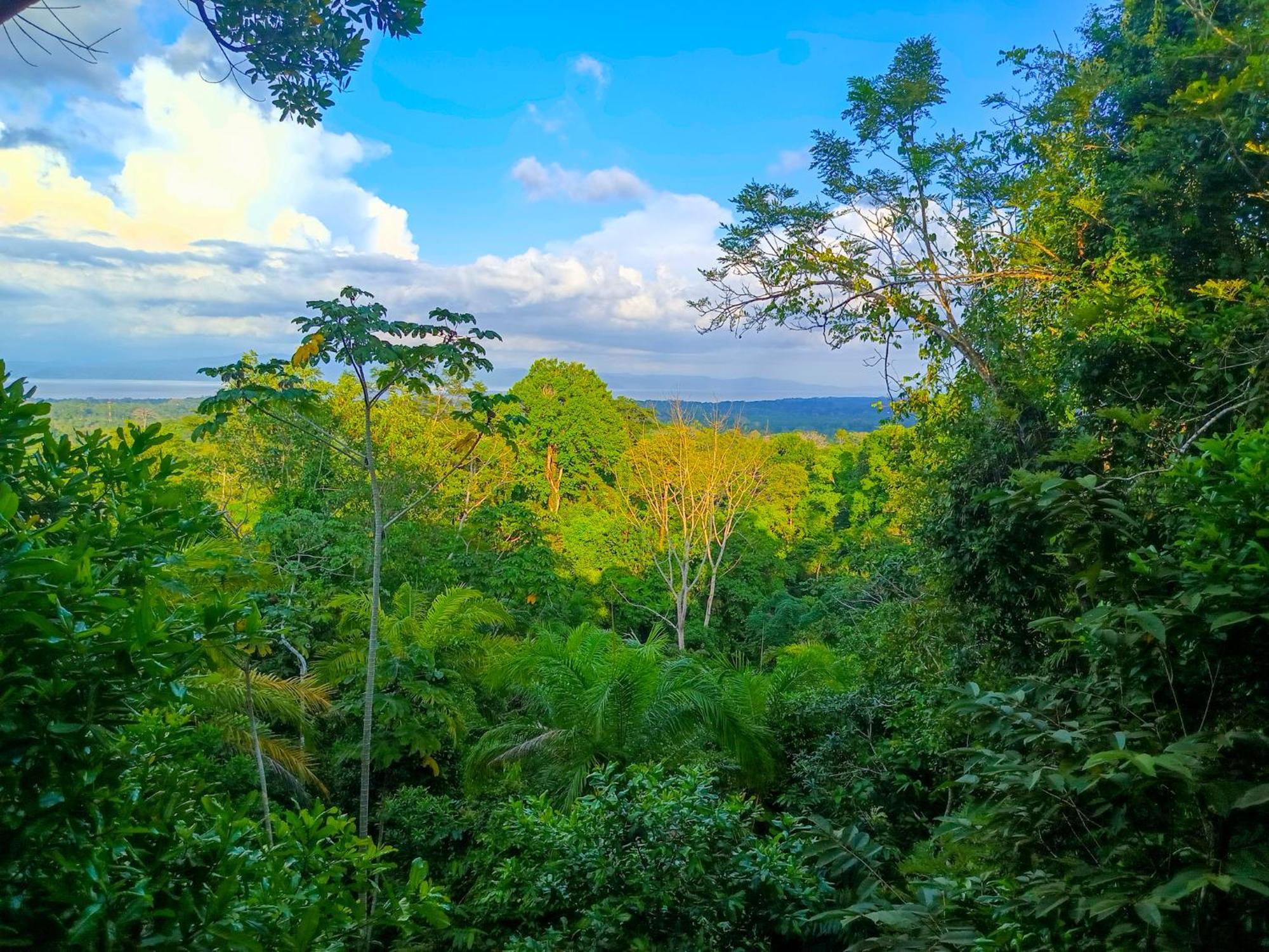 Corcovado Private Villas - Corcovado Private Reserve Puerto Jiménez Eksteriør billede