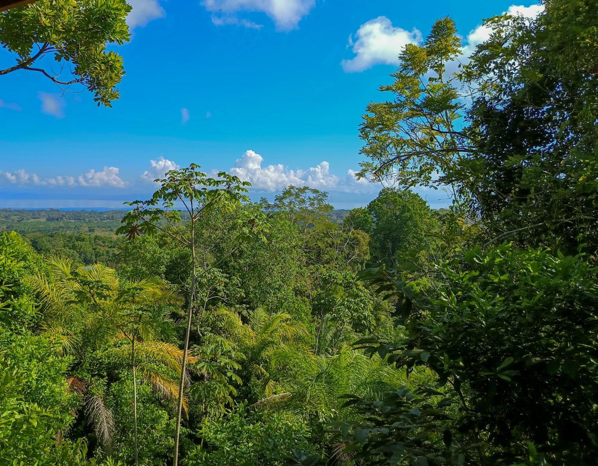 Corcovado Private Villas - Corcovado Private Reserve Puerto Jiménez Eksteriør billede